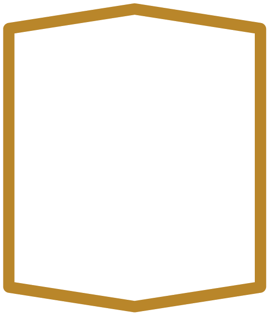 Sona shield mark